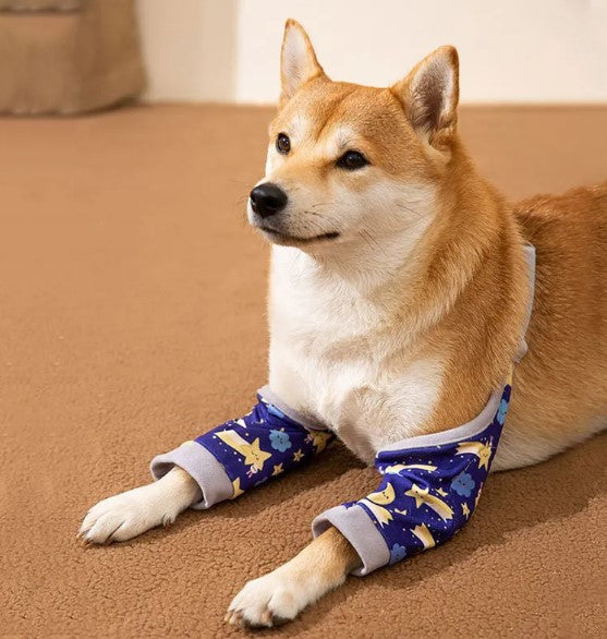 dogs-knee-protector-pad
